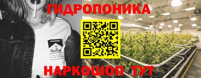 гидра Малоярославец